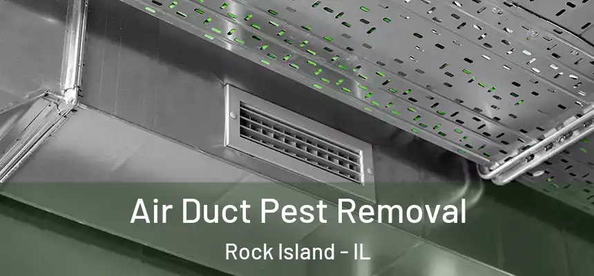  Air Duct Pest Removal Rock Island - IL