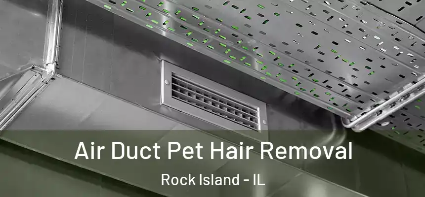  Air Duct Pet Hair Removal Rock Island - IL