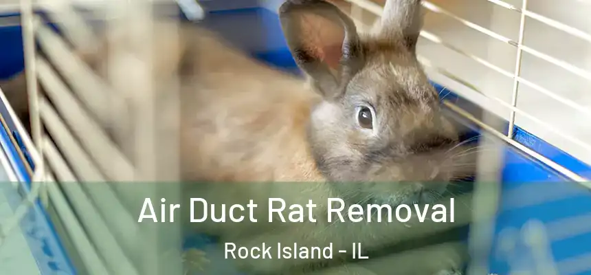  Air Duct Rat Removal Rock Island - IL