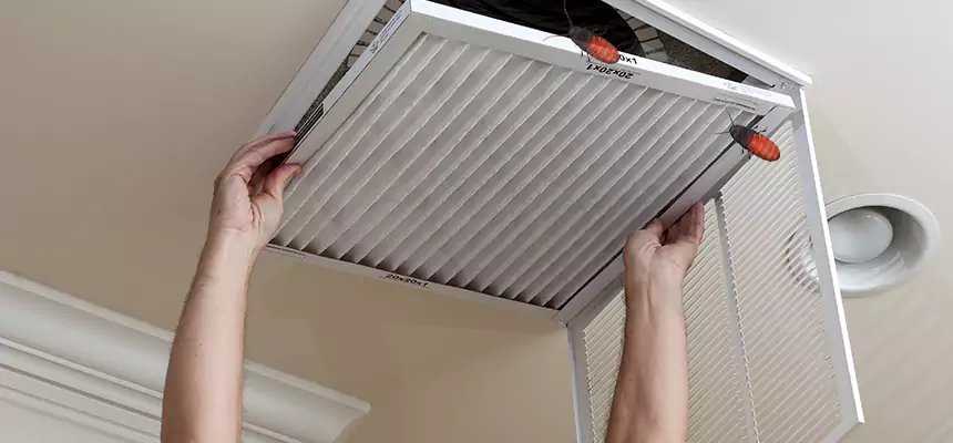 Preventive Cockroach-Proofing for Ducts in Rock Island