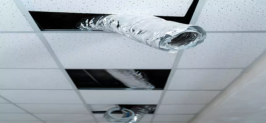 Our Air Duct Pet Hair Removal Services in Rock Island, IL