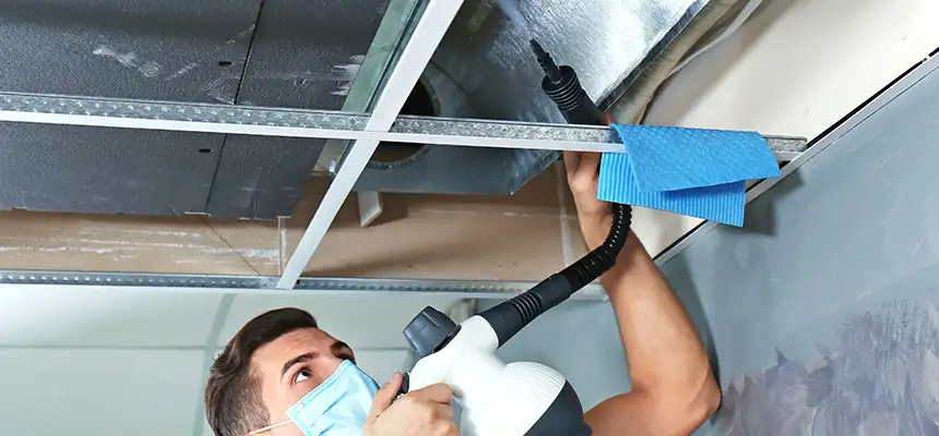 Our Air Duct Rodent Removal Services in Rock Island, IL