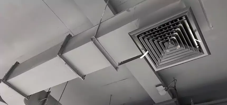 Restorative Allergy Relief Vent Cleaning – Coil, Blower & Housing Detail in Rock Island