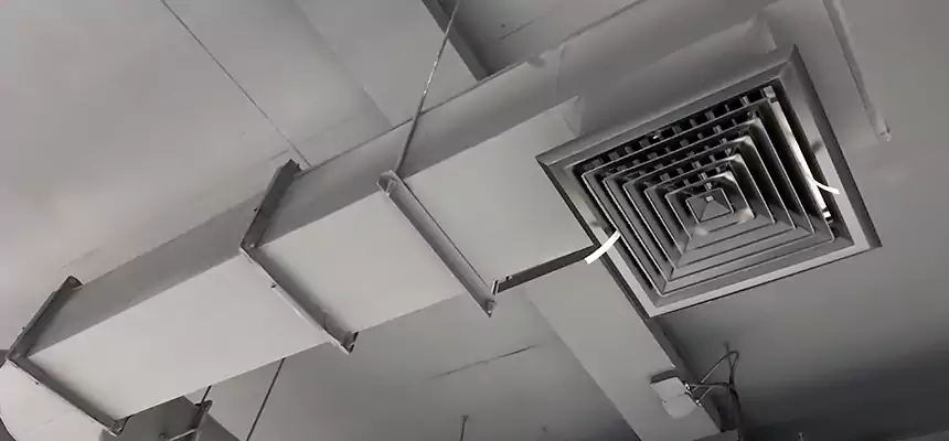 Our Pest Removal From Ducts Services in Rock Island, IL