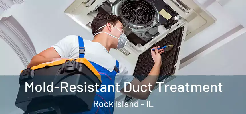  Mold-Resistant Duct Treatment Rock Island - IL
