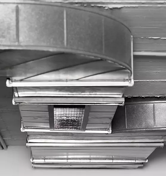 Professional Air Duct Pest Removal in Rock Island, IL