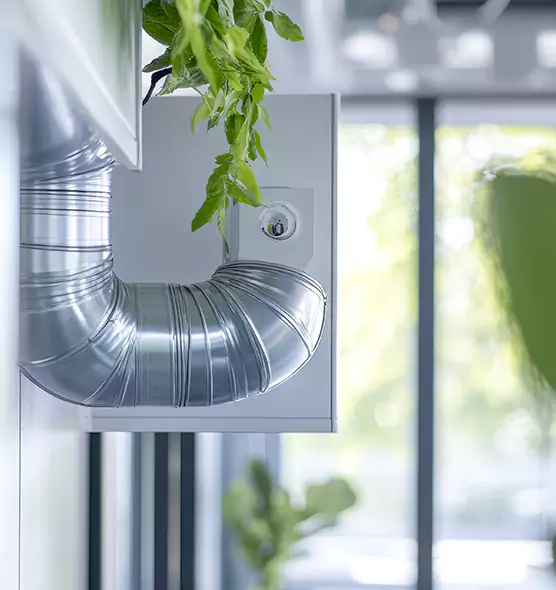 Professional Eco-Safe Dryer Vent Cleaning in Rock Island, IL