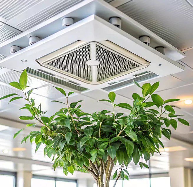 Why Homeowners & Businesses Trust Us in Rock Island, IL?