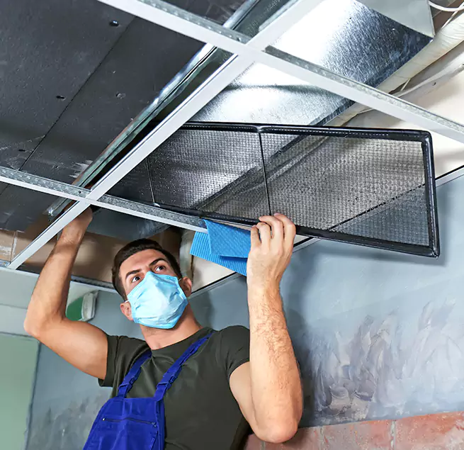 Why Homeowners & Businesses Trust Us in Rock Island, IL?